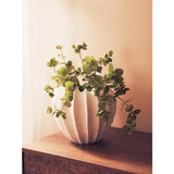 Broc White Vase