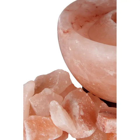 Nepal Bowl Salt Lamp