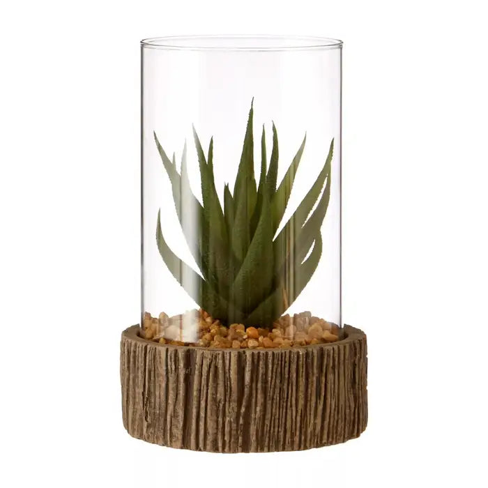 Fusion Small Succulent with Natural Stone Base