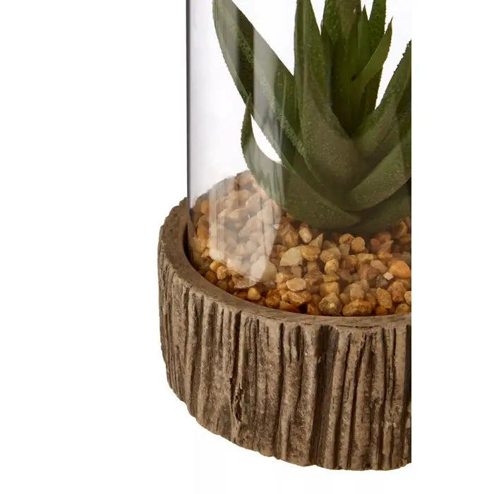 Fusion Small Succulent with Natural Stone Base