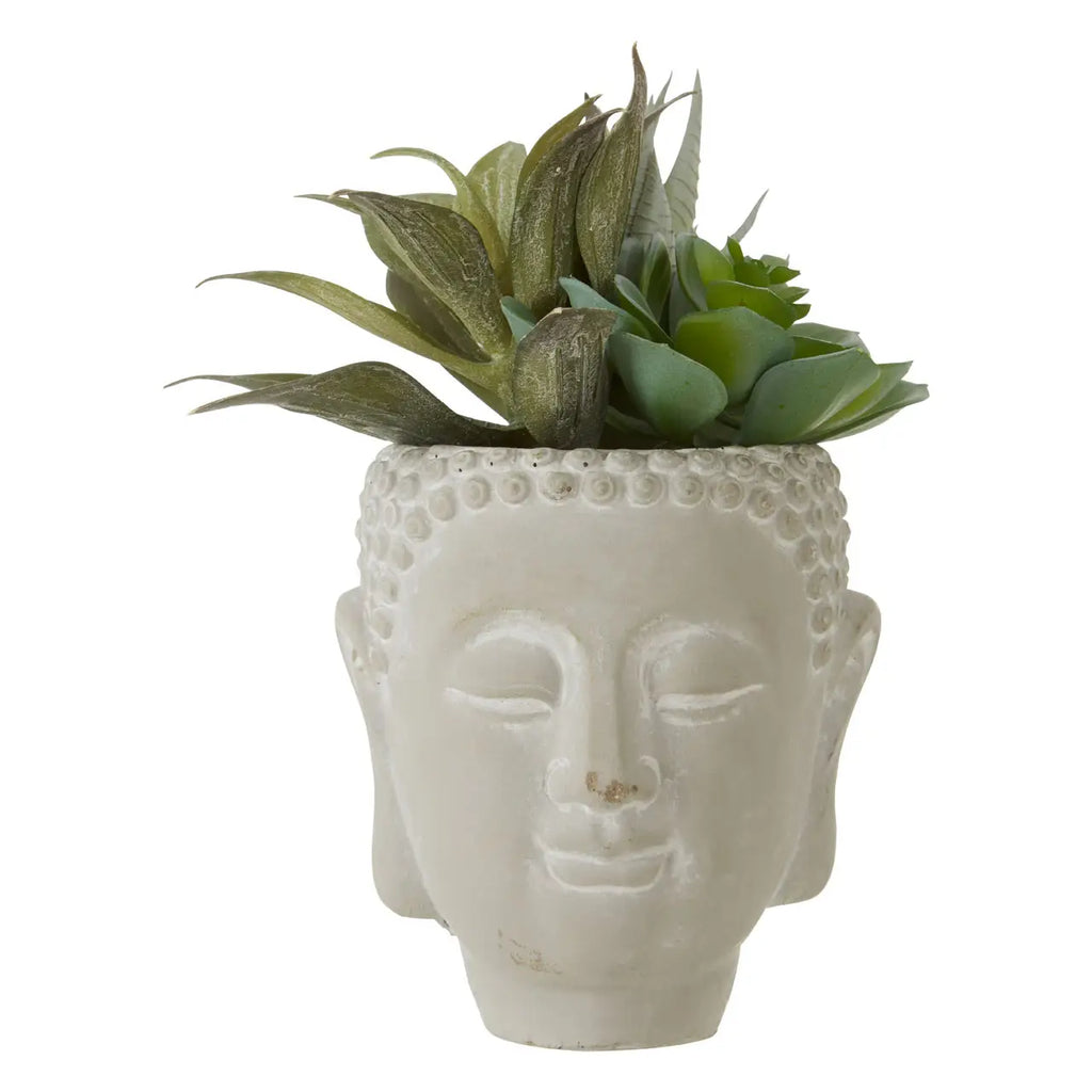 Fusion Buddha Pot Mixed Succulent