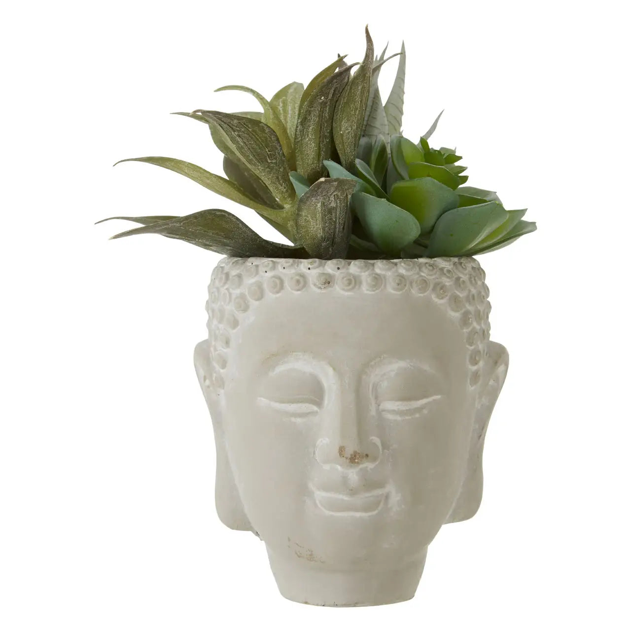 Fusion Buddha Pot Mixed Succulent