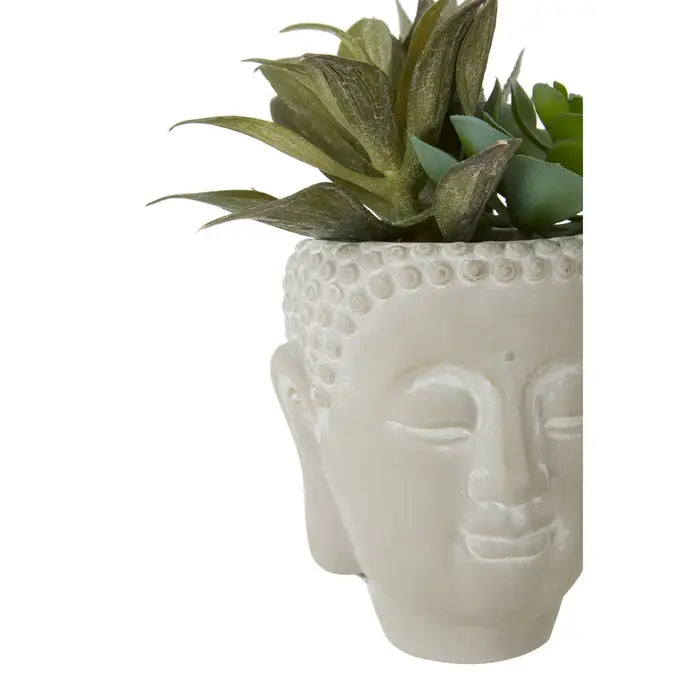 Fusion Buddha Pot Mixed Succulent