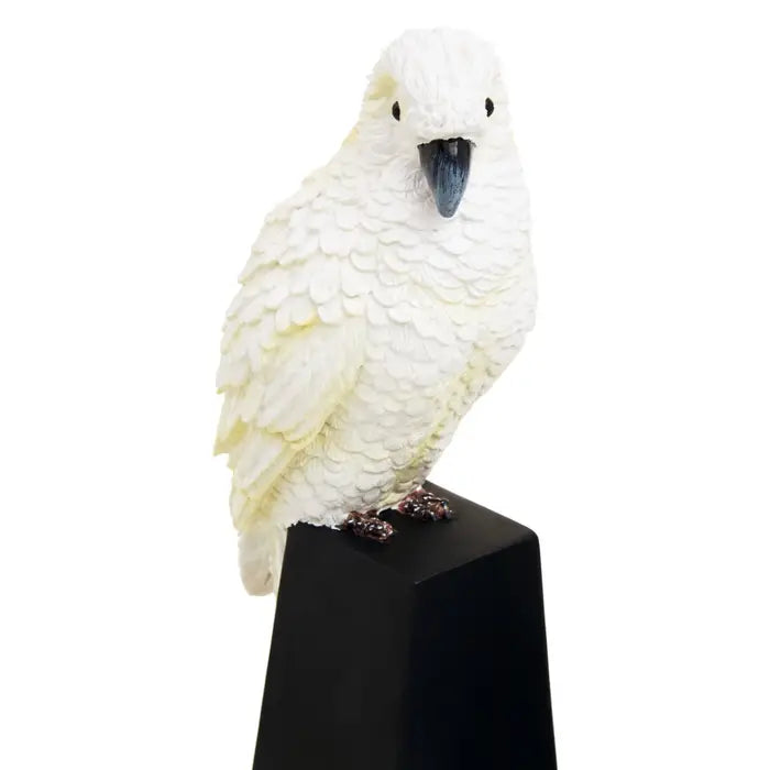 Set Of Two Parrot Bookends