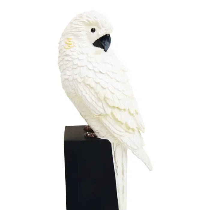 Set Of Two Parrot Bookends