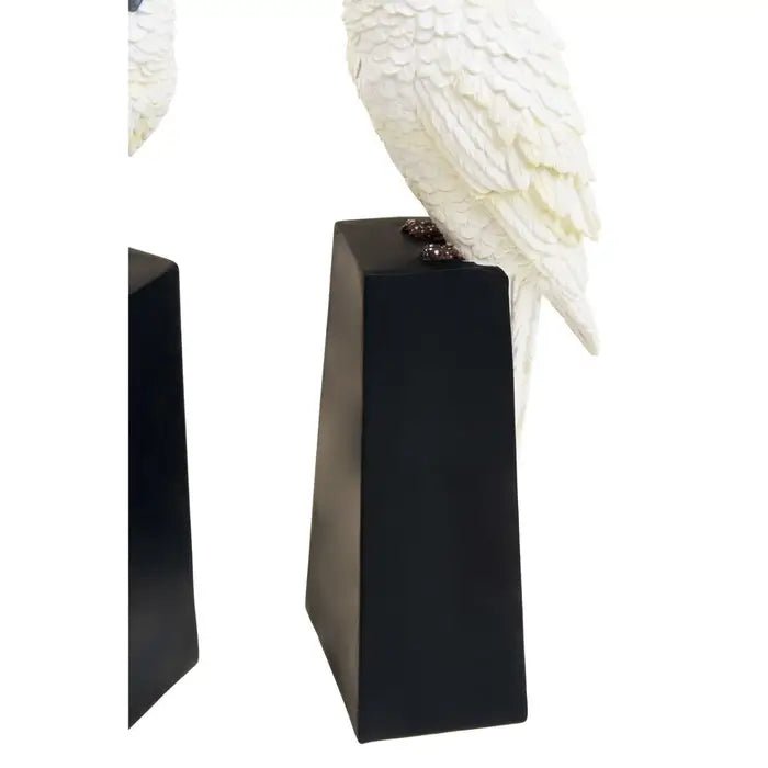 Set Of Two Parrot Bookends