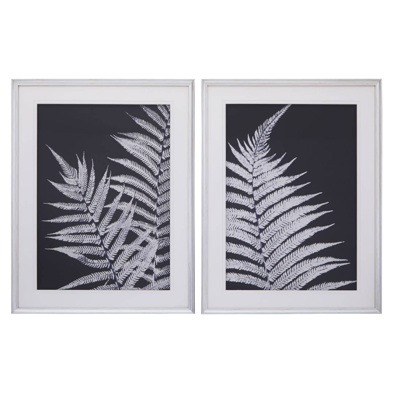 Nastle Set Of Two Leaf Print Wall Art