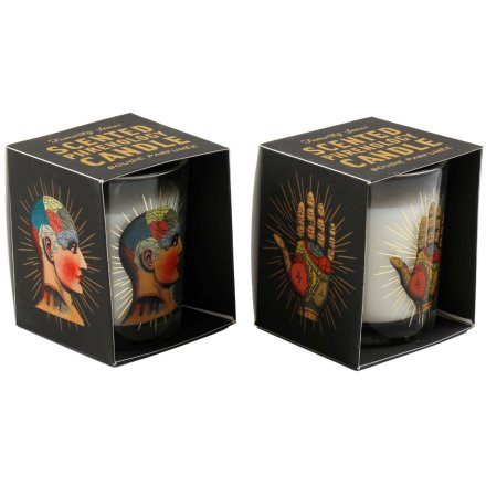 Phrenology Candle in Open Box, 10cm