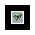 Butterfly Framed Wall Art